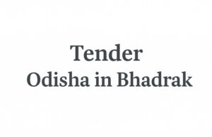 📞 Tender Alert: 79,033 Smart Phones for ICDS Workers by WCD Department Tender Odisha Bhadrak